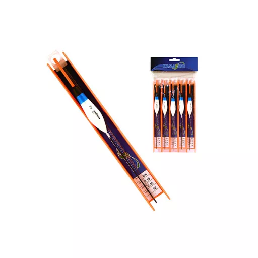 ZSEBPECA KAMASAKI A10 2G