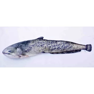EnergoTeam harcsa alakú párna, 115 cm