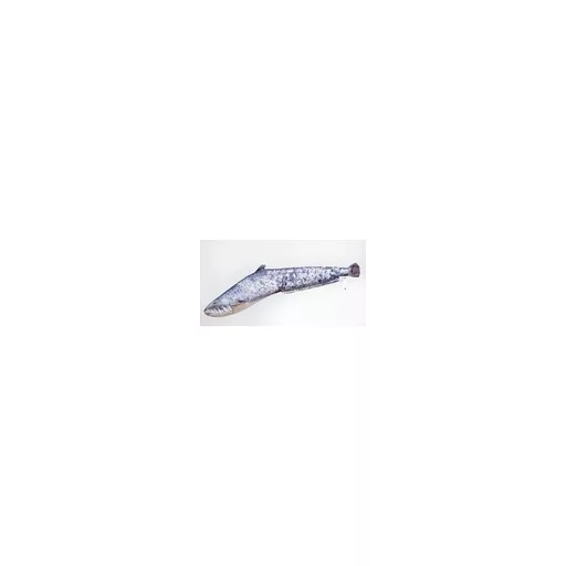 EnergoTeam harcsa alakú párna, Baby, 62 cm