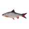 EnergoTeam bodorka alakú párna, Mini, 35 cm