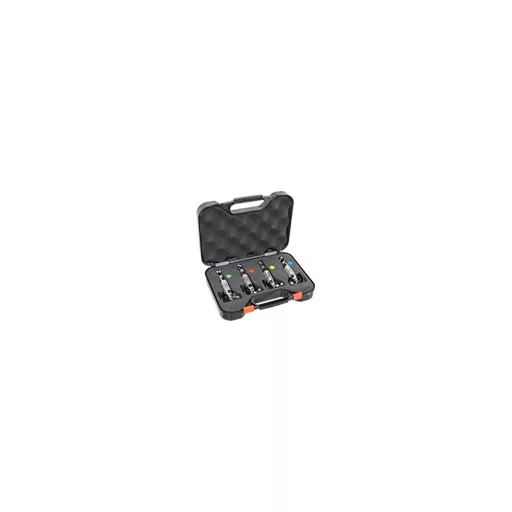 Carp Expert 4 db sárga/piros/zöld/kék LED-es láncos swinger szett