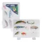 Kamasaki Super Lure műcsali szett