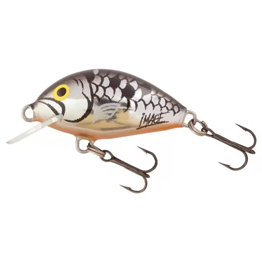 Salmo Tiny IT3F HBS 3 cm 2 g crankbait wobbler