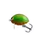 Salmo Lil Bug BG3F PBG 3 cm 4,3 g úszó rovarutánzatú wobbler