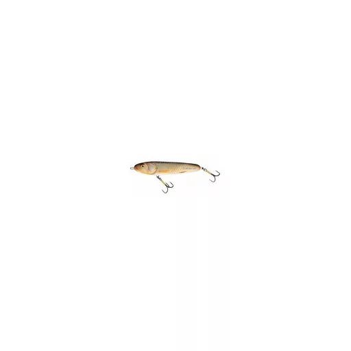 Salmo Sweeper SE10 TS 10 cm 19 g jerkbait