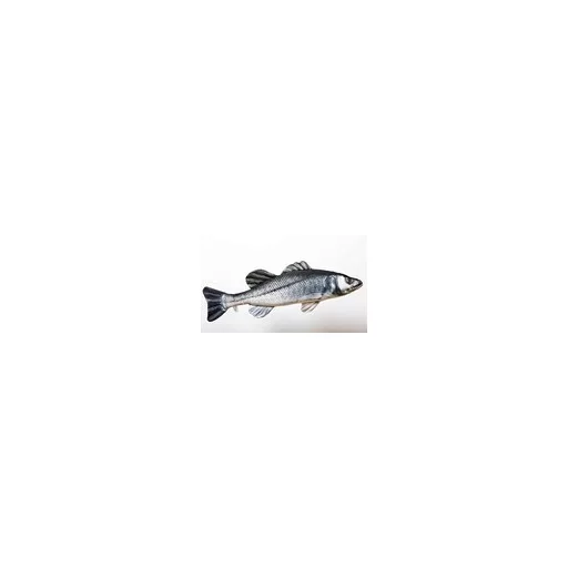 EnergoTeam farkassügér alakú párna, 70 cm