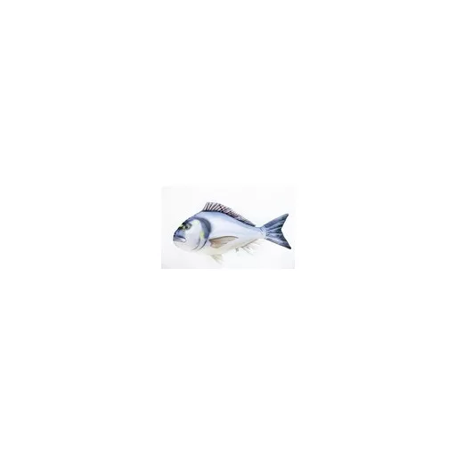 EnergoTeam aranydurbincs alakú párna, 60 cm
