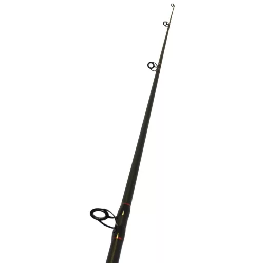 Eurostar D Max Fuegos Carp 330 cm 3 lb 2 részes pontyozó horgászbot