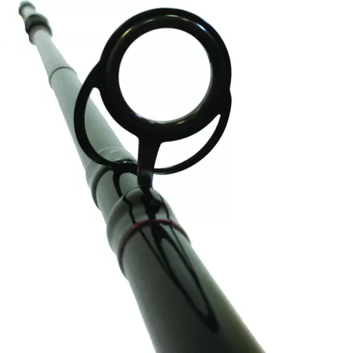 Eurostar D Max Fuegos Carp 330 cm 3 lb 2 részes pontyozó horgászbot
