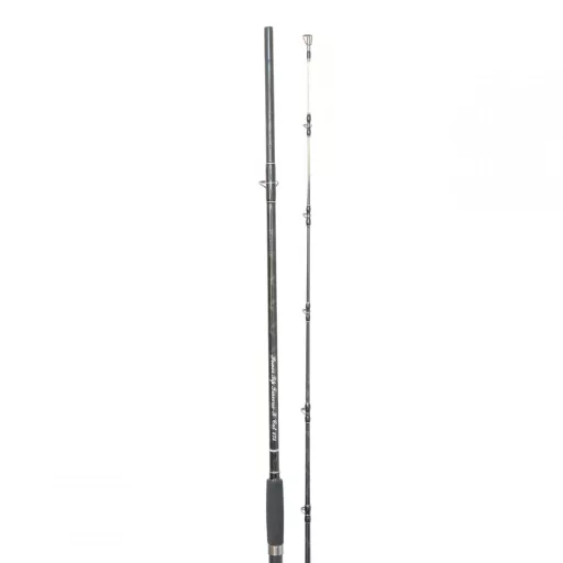 Eurostar P.Tip Traverse-X Cat 210 cm 400 g 2 részes harcsázó horgászbot