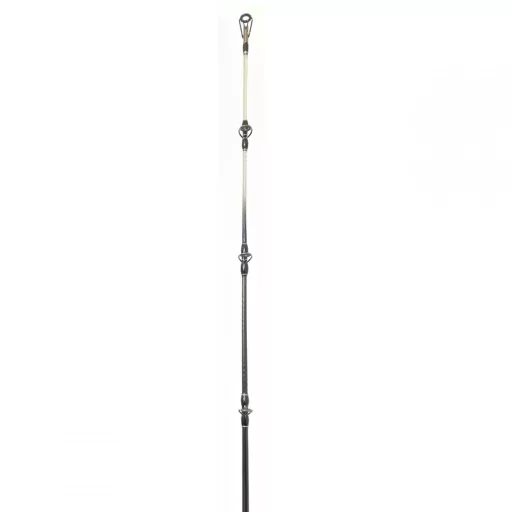 Eurostar P.Tip Traverse-X Cat 300 cm 400 g 2 részes harcsázó horgászbot