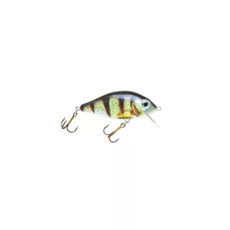  Hester Prussian Carp 0,9–1,5 m 061 7 cm 13 g crankbait wobbler