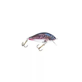   Hester Prussian Carp 0,9–1,6 m 117 7 cm 13 g crankbait wobbler