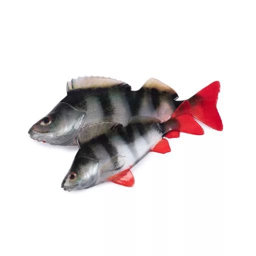 Fox Rage Fillet bodorka (Ultra Natural Roach) Fillet 6 cm 4 db/csomag gumihal