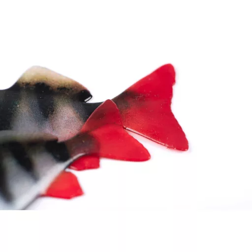 Fox Rage Fillet bodorka (Ultra Natural Roach) Fillet 6 cm 4 db/csomag gumihal