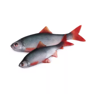   Fox Rage Fillet bodorka (Ultra Natural Roach) Fillet 8 cm 4 db/csomag gumihal
