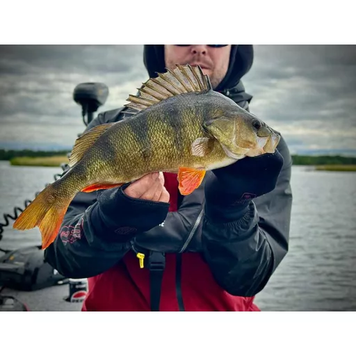 Fox Rage neoprén kesztyű XL-2XL