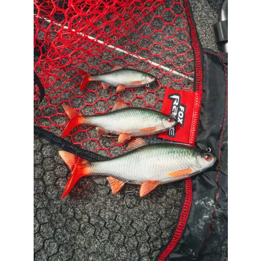 Fox Rage Ultra-Realistic Roach Replicant Ultra-Realistic bodorka 10 cm 18 g swimbait