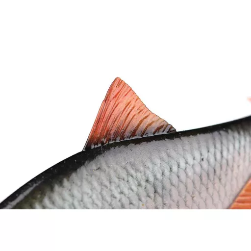 Fox Rage Ultra-Realistic Roach Replicant Ultra-Realistic bodorka 18 cm 80 g swimbait