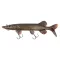 Fox Rage Ultra-Realistic Pike Replicant Ultra-Realistic csuka 10 cm 12 g swimbait