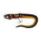 Fox Rage Slick Eel Loaded Burbot 28 cm gumihal