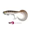 Fox Rage Pro Grub Loaded UV csillámos sügér 12 cm swimbait