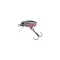 Jaxon Holo Select Beetle LU 2,5 cm 2 g úszó rovarutánzatú wobbler