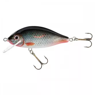 Jaxon Karaś D 8 cm 14 g úszó crankbait wobbler
