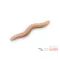 Delphin B! StinxWORM Shrimp SKINY 4 cm 50 db/csomag lágy műcsali