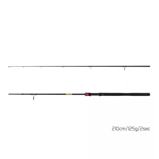 Delphin Murena Power 300 cm 125 g 2 részes pergető horgászbot
