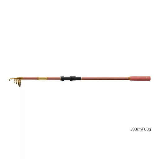 Delphin Queen 300 cm 100 g 6 részes teleszkópos horgászbot