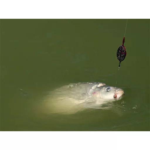Delphin Quix L method feeder kosár 90 g