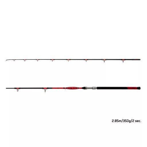 Delphin DANGER CatFISH 285 cm 350 g 2 részes harcsázó horgászbot