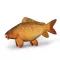 Delphin CARPY plüss ponty, 60 cm