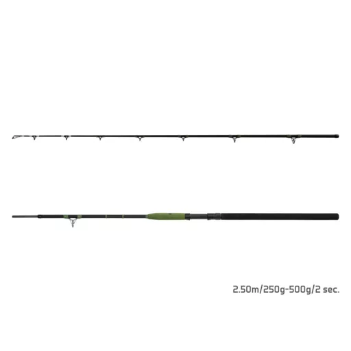 Delphin ENERGY Catfish 310 cm 250–500 g 2 részes harcsázó horgászbot