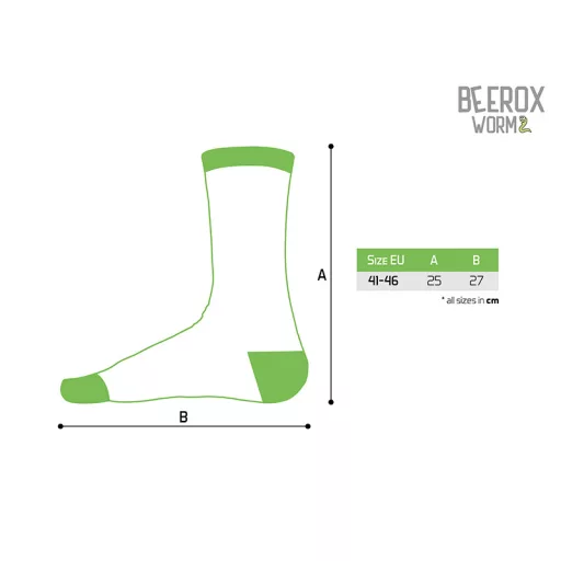 Delphin BEEROX WORM dobozos 2 páros zoknicsomag 41–46