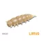 Delphin LARVO Cheese MAGGOT 3 cm 15 db/csomag lágy műcsali