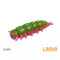 Delphin LARVO Cheese GUMMY 3 cm 15 db/csomag lágy műcsali