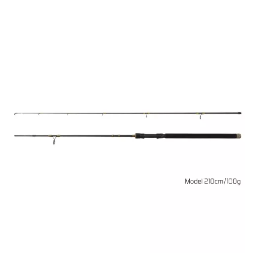 Delphin Murena 300 cm 100 g 2 részes pergető horgászbot