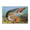 Delphin 3D csukamotívumos lábtörlő, 60 × 40 cm