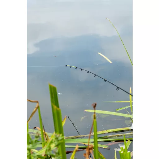 Zebco Trophy X Picker 255 cm 10–60 g 2 részes pergető horgászbot