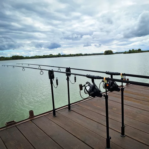 Carp Academy stégadapter M