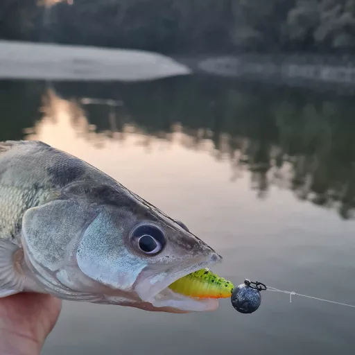 Reiva Fluorocarbon 30 cm 0,55 mm fluorocarbon előke 2 db/csomag