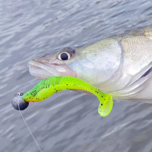 Reiva Zander Power Shad Salt and Pepper 8 cm 3,18 g 5 db/csomag gumihal