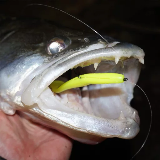 Reiva Flash Shad Lemonade 15 cm 13,26 g 3 db/csomag gumihal