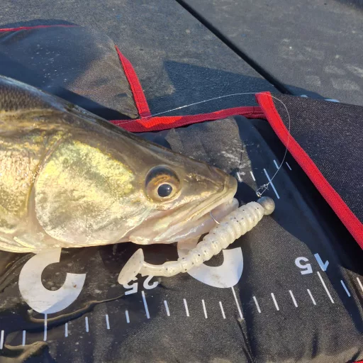 Reiva Stream Shad Flash Lemonade 8 cm 5,9 g gumihal