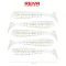 Reiva Stream Shad gyöngyház fehér Dots 12,5 cm 13,4 g gumihal