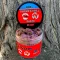 Feedermánia Venom Shrimp & Krill Paste Bcn+ 20 mm 150 ml horogbojli