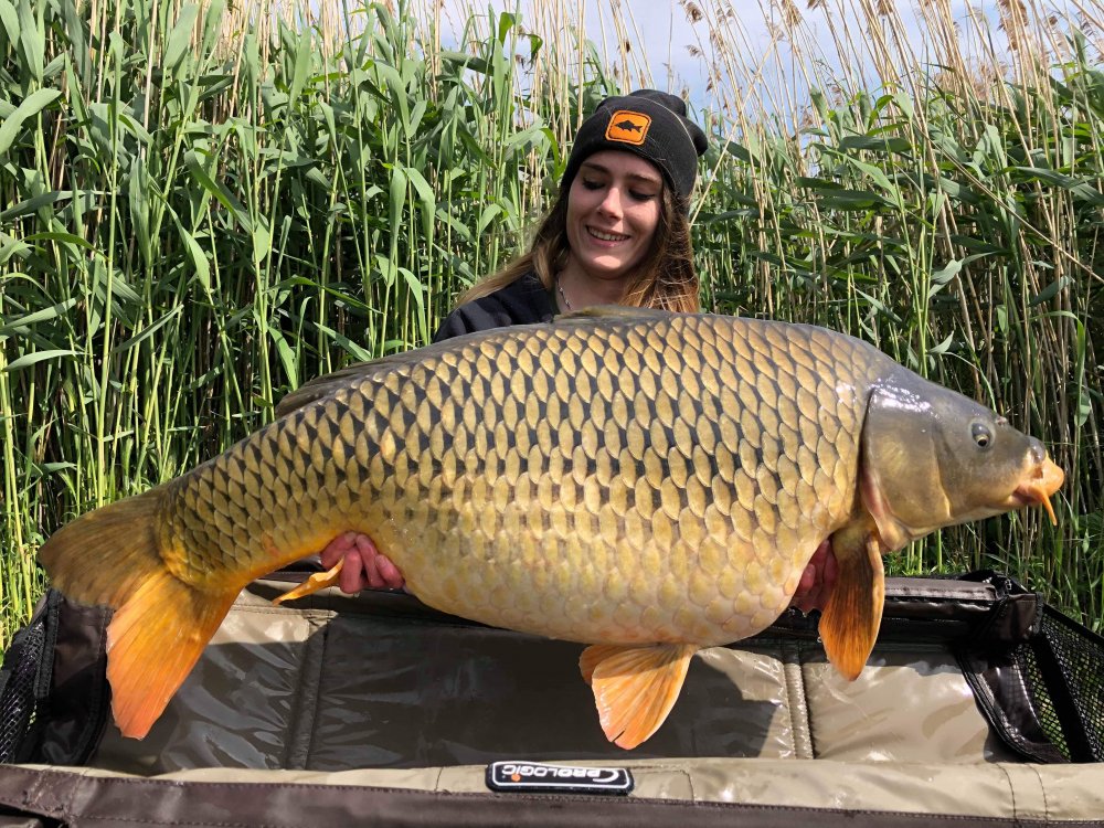 Don Carp Lake-en jártunk