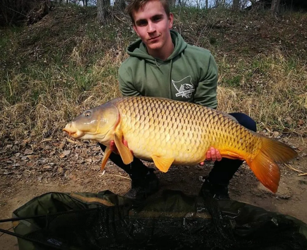 24 órás peca
